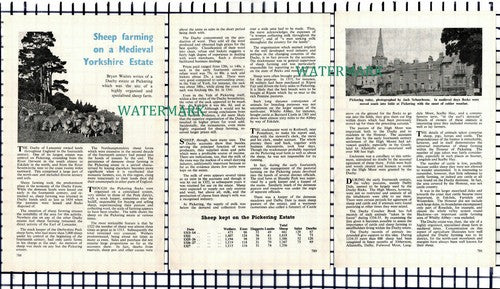 (7616) Duchy Of Lancaster Pickering Sheep Farming - 1966 Small Article