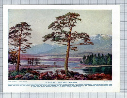 (5879) Loch Tulla Black Mount Argyllshire F C Varley - c.1930s Print