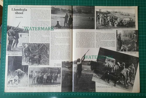 X1853) Bodidris Hall Wales Shoot - 1985 Article
