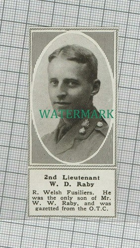 C1666) 2nd Lieut W D Raby Royal Welsh Fusiliers - 1918 Clip SMALL!!