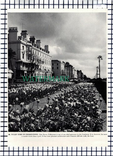 (7729) Folkestone Kent The Leas - 1960s Book Print