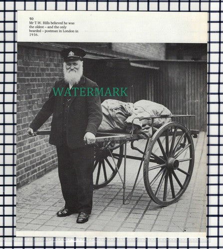 (7579) Mr T W Hills London Postman - Cutting