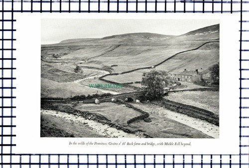C6458) Marrick Priory / Grains of the Beck Farm Pennines - 1950s Print / Cutting
