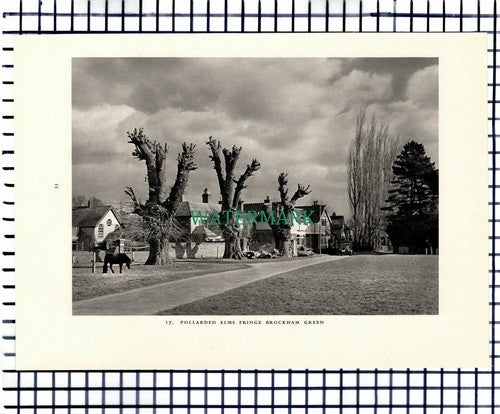 (7445) Brockham Green Surrey - 1949 Print / Cutting