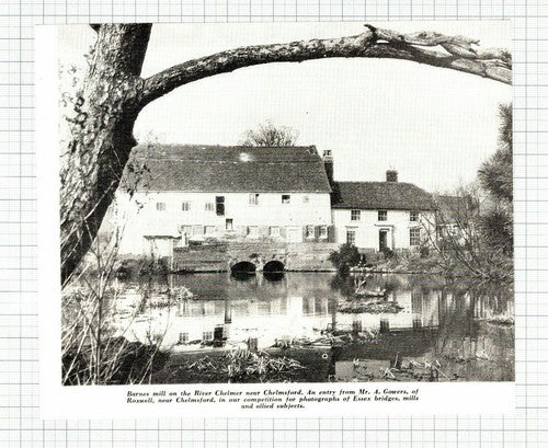 (6003) Barnes Mill Chelmsford Essex River Chelmsford - 1965 Clip