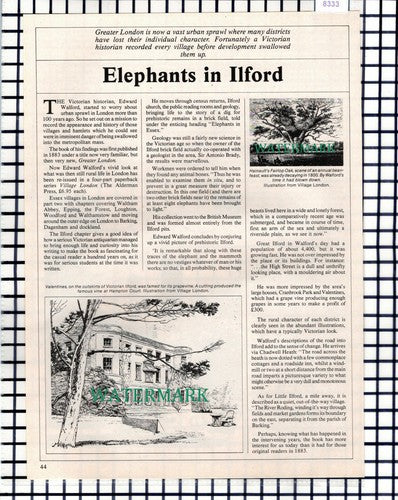 (8333) Edward Walford Ilford - 1985 Article