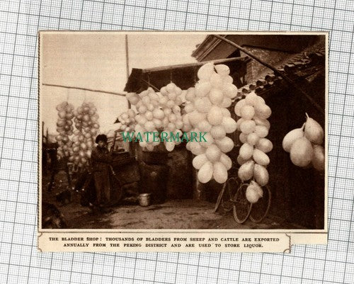 C2316) A Peking District Sheep Cattle Bladder Shop Liquor Storing - 1948 Clip