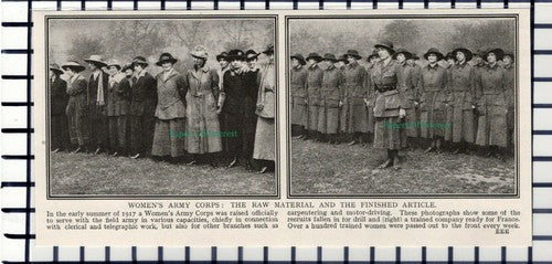 C5803) Women's Army Corps World War One - c.1917 Cutting