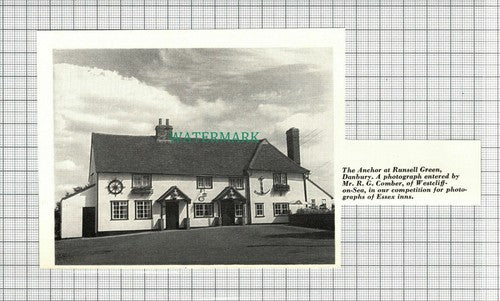 C2820) The Anchor Pub Danbury Runsell Green Essex - 1964 Cutting
