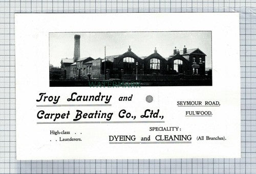 C7431) PRESTON Troy Laundry Carpet Beating Advert - 1902 Cutting
