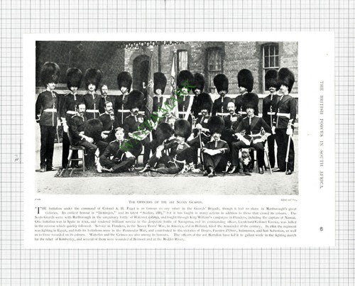 1st Scots Guards Col AH Paget - c.1900 Print / Cutting
