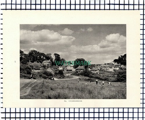 (7452) Leith Hill Tower / Coldharbour Surrey - 1949 Print / Cutting