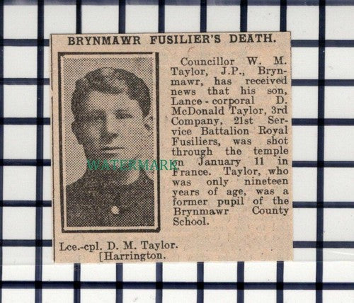 C6905) Lance Corp D McDonald Taylor 21st Royal Fusiliers Brynmawr - 1916 Cutting