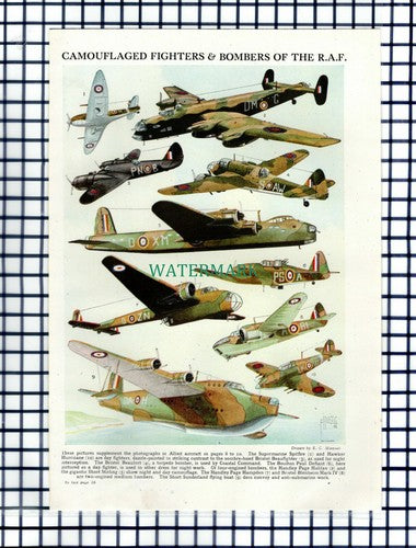 Camouflaged Fighter Bomber Planes RAF - c.1950s Cutting / Print