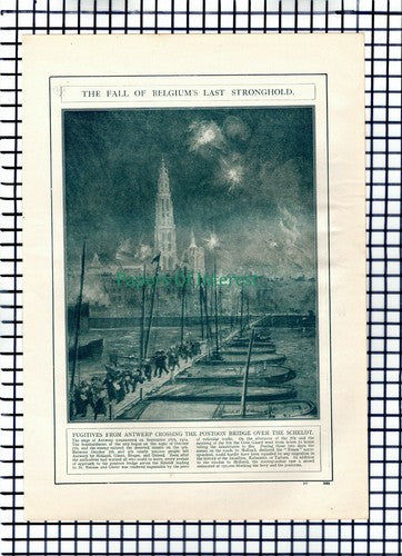 X1358) Siege Of Antwerp Scheldt Pontoon Bridge World War One c.1918 Book Print