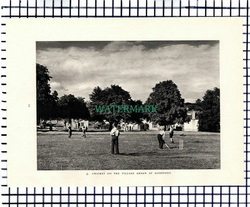 (7440) Lingfield Surrey / Godstone Cricket - 1949 Print / Cutting