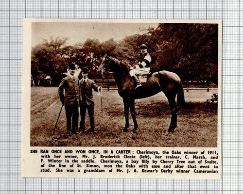 Cherimoya Race Horse Mr J Broderick Cloete C Marsh F Winter -1950 Small Cutting