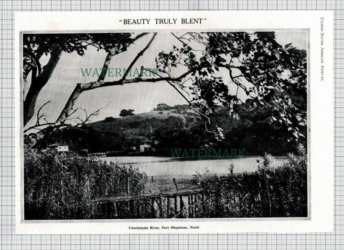X1834) Umzimkulu River Port Shepstone Natal South Africa - 1932 Cutting