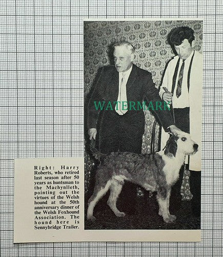 (C357) Harry Roberts Machynlleth Hunt Welsh Foxhound Sennybridge Trailer 1972