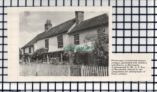 C6640) Herongate Cottage Essex - 1964 Cutting