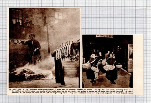 Arbroath Fish Curing Annie Smith - 1950 News Clipping