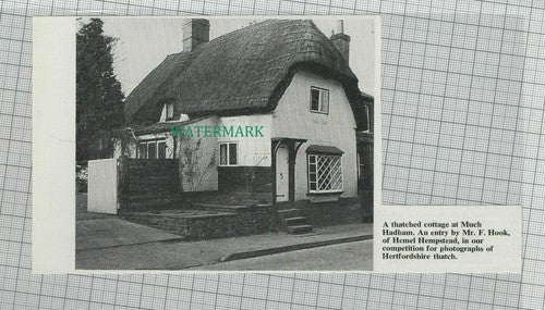C1473) Thatched Cottage At Much Hadham - 1967 Clip