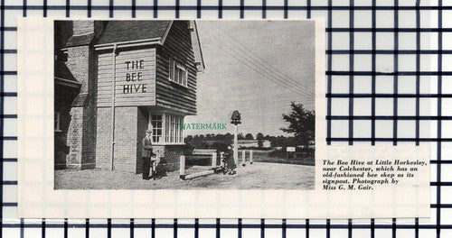 C6586) The Bee Hive Pub Little Horkesley Essex - 1964 Cutting