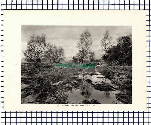 (7465) Walton On The Hill / Headley Heath Surrey - 1949 Print / Cutting