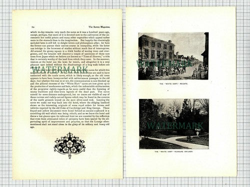 The White Hart Hotel Reigate Surrey Bailey Williams - 1901 Article