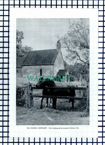 (8099) The Church Chithurst Sussex - 1954 Cutting