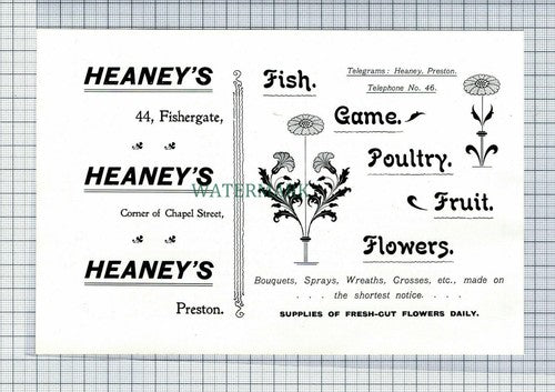 C7422) PRESTON Heaney's Heaneys Advert - 1902 Cutting