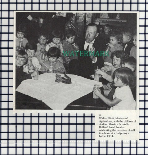 (7596) Addison Gardens School Holland Road London Walter Elliott - 1980s Cutting