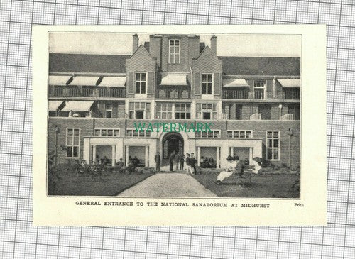 C1810) National Sanatorium Midhurst - c.1915 Cutting