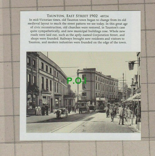 C2171) Taunton East Street - Cutting