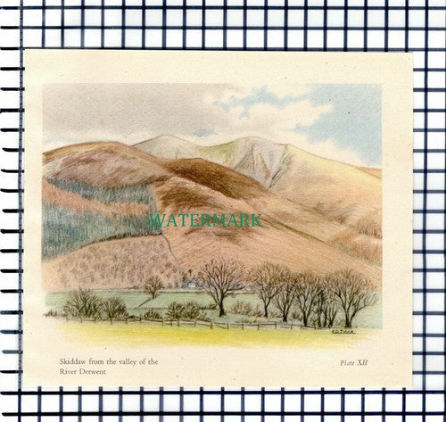 (7323) Skiddaw Lake District - 1946 Cutting / Print