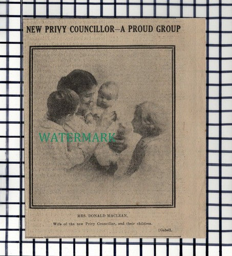C6984) Mrs Donald Maclean Privy Councillor - 1916 Cutting