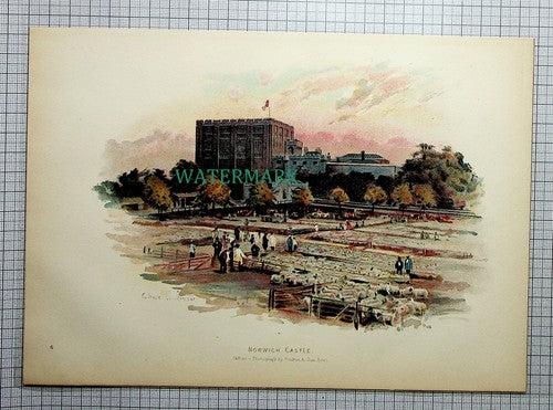 NORWICH CASTLE Norfolk ENGLAND - c.1910 Antique Print