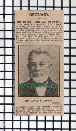 C7018) Mr David Nicholas Capel Seion Cwmavon Caradog Choir Musician - 1916