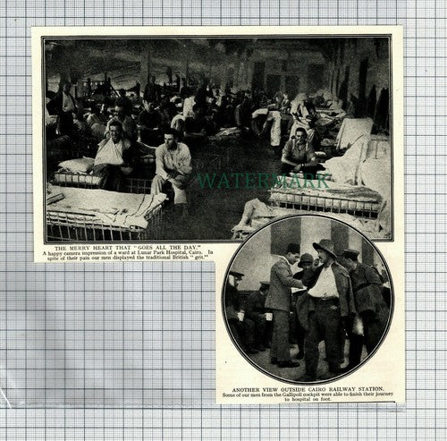 (6638) Lunar Park Hospital Cairo World War One - c.1918 Cutting