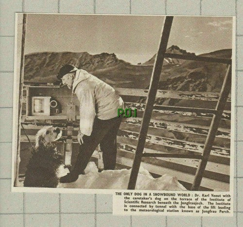 Dr Karl Veout With Dog Institute of Scientific Research Jungfrau -1951 Clipping
