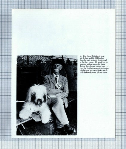 (6241) Mr T Cass Guildford Dog Show - Cutting