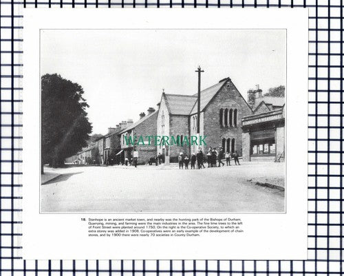 (7796) Stanhope County Durham Co-Op - Cutting