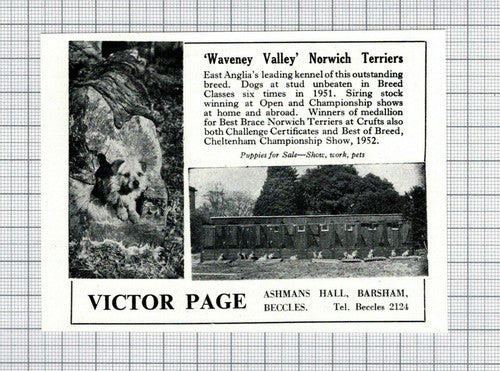 Victor Page Ashman's Hall Barsham Beccles - 1952 Small Advert