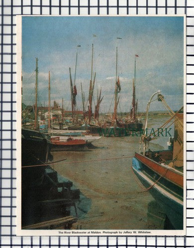 (107) The River Blackwater At Maldon Essex - 1970 Cutting / Print