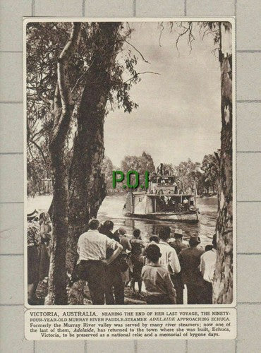 Paddle Steamer Boat ADELAIDE Echuca Victoria Australia - 1961 Small Clipping