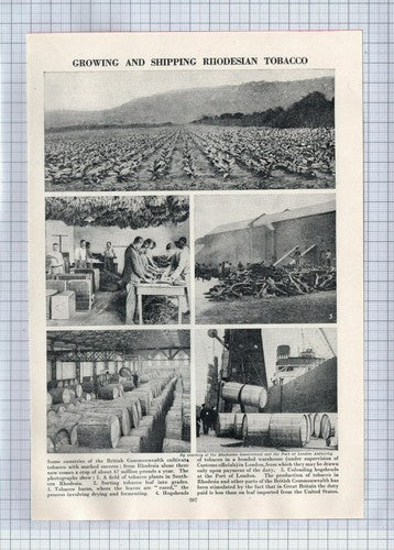 (5743) Tobacco Industry Rhodesia - c.1960s Clip