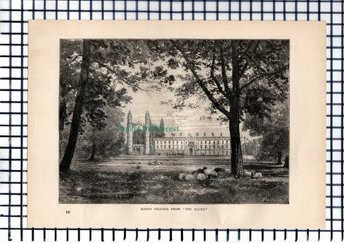 (6405) King's College From The Backs - 1892 Antique Print