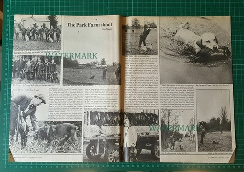 X1886) The Park Farm Shoot Tommy Jeffs Len Hotchkiss Mike Hayter - 1985 Article