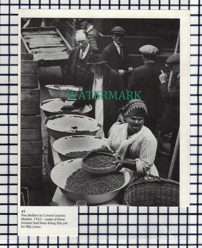 (7586) Covent Garden Market Pea Shellers - 1980s Cutting