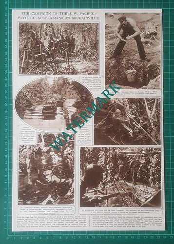 (X984) Australian Forces Bougainville Island Solomons World War 2 - 1945 Clip
